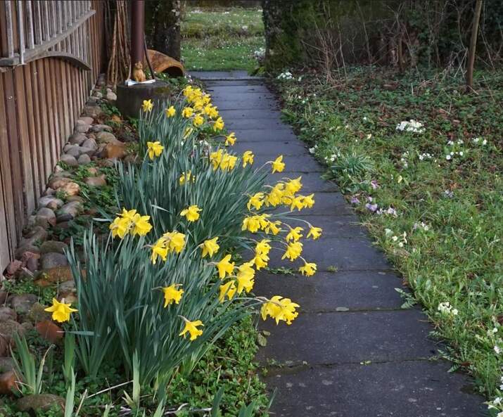 
Warning: A non-numeric value encountered in /home/httpd/vhosts/carpino.ch/httpdocs/vendor/twig/twig/lib/Twig/Environment.php(467) : eval()'d code on line 130
0