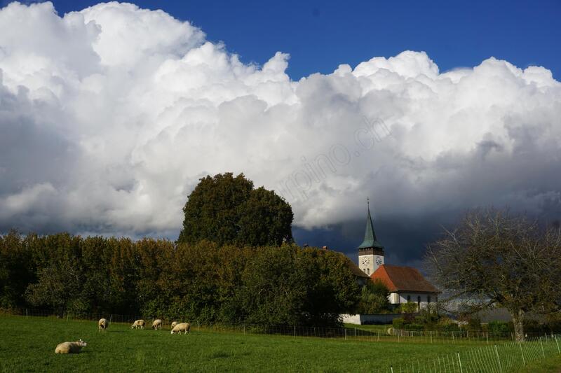 Kirche Thunstetten - Schafe und Wolken
